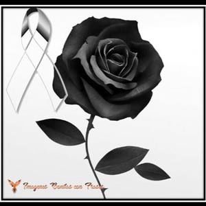 Meet your Posher, Daniela